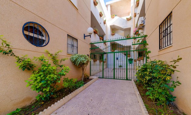 Resale - Apartment / flat -
Torrevieja - San Luis - Chaparal