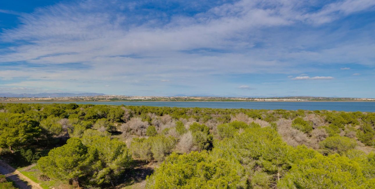 Resale - Apartment / flat -
Torrevieja - San Luis - Chaparal