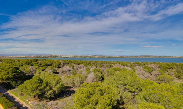 Resale - Apartment / flat -
Torrevieja - San Luis - Chaparal