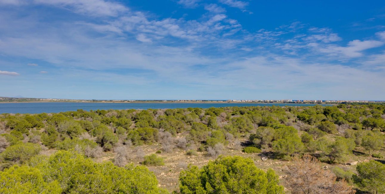 Resale - Apartment / flat -
Torrevieja - San Luis - Chaparal