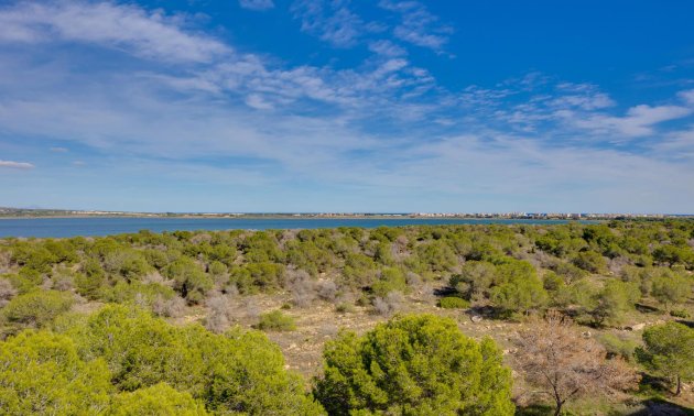 Resale - Apartment / flat -
Torrevieja - San Luis - Chaparal