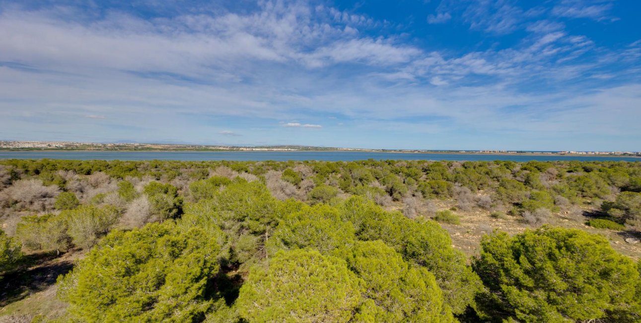 Resale - Apartment / flat -
Torrevieja - San Luis - Chaparal