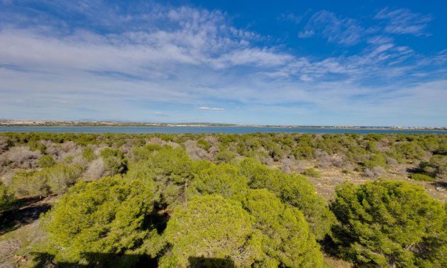 Resale - Apartment / flat -
Torrevieja - San Luis - Chaparal