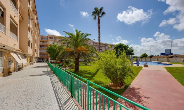 Resale - Penthouse -
Torrevieja - Parque las naciones