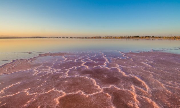 Rynek wtórny - Mieszkanie  -
Torrevieja - La Mata