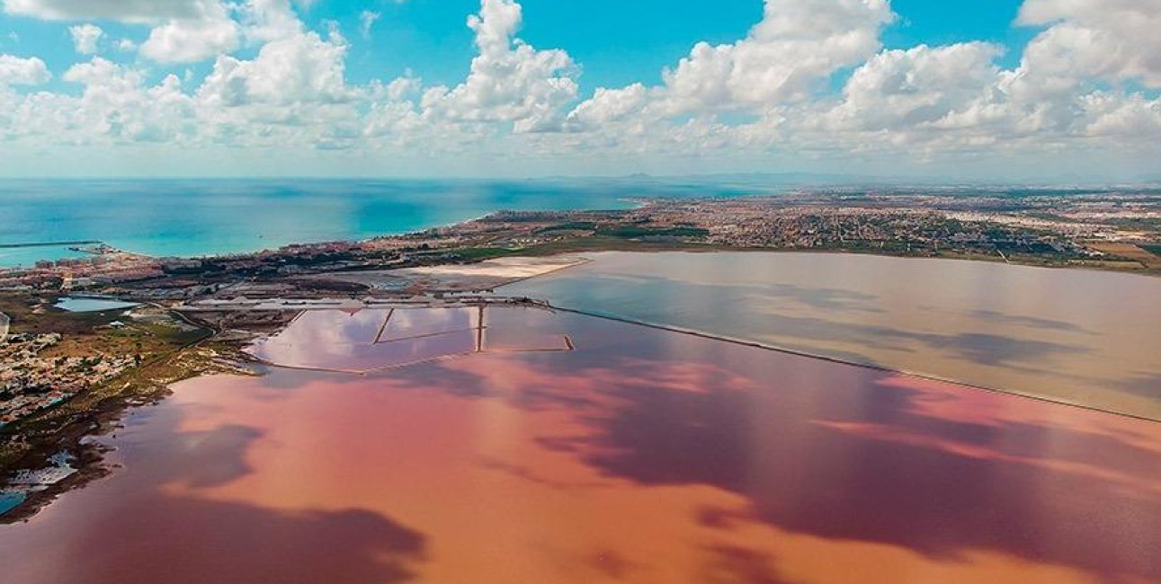 Rynek wtórny - Mieszkanie  -
Torrevieja - La Mata