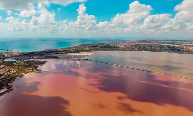 Rynek wtórny - Mieszkanie  -
Torrevieja - La Mata