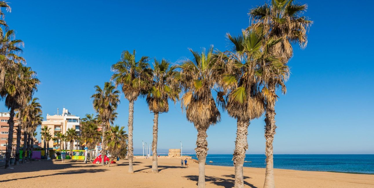 Rynek wtórny - Mieszkanie  -
Torrevieja - La Mata