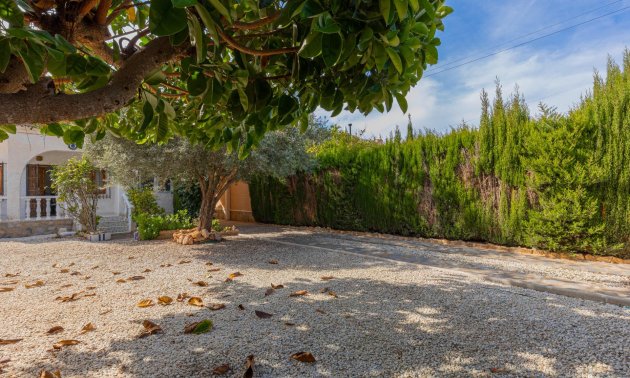 Resale - Villa -
Torrevieja - San Luis - Chaparal