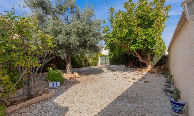Resale - Villa -
Torrevieja - San Luis - Chaparal