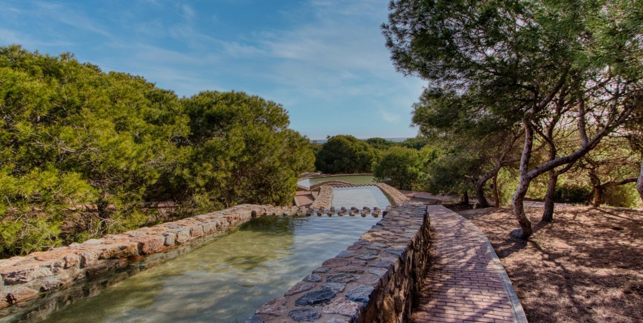 Resale - Villa -
Torrevieja - San Luis - Chaparal