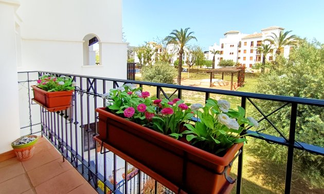 Resale - Apartment / flat -
El Valle Golf Resort - El Valle Golf Resort - Centre