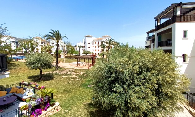 Resale - Apartment / flat -
El Valle Golf Resort - El Valle Golf Resort - Centre