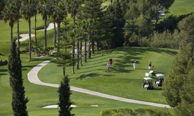 Resale - Villa -
San Miguel de Salinas - Blue Lagoon