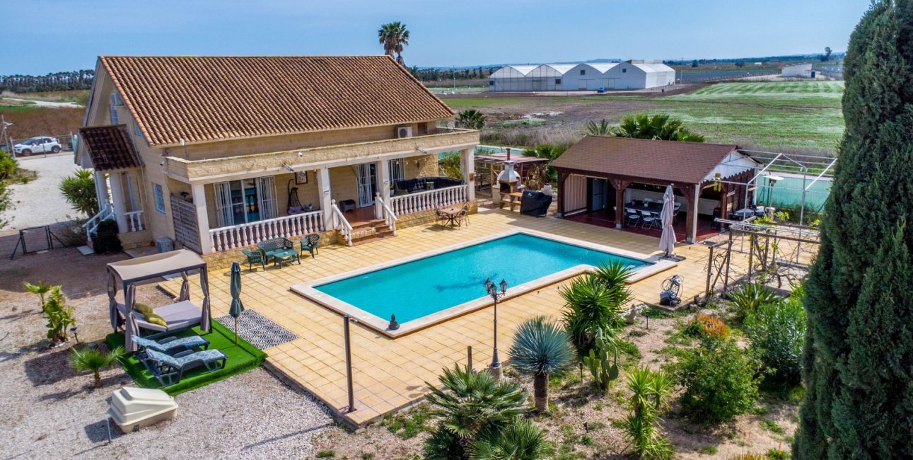 Rynek wtórny - Dom  -
Albatera - Albatera - Country