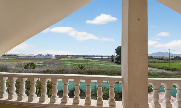 Rynek wtórny - Dom  -
Albatera - Albatera - Country