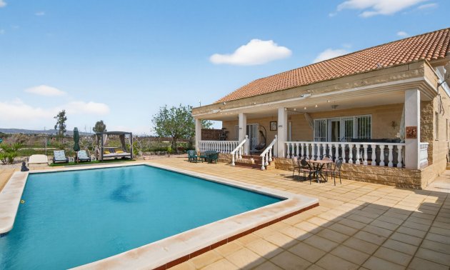 Rynek wtórny - Dom  -
Albatera - Albatera - Country