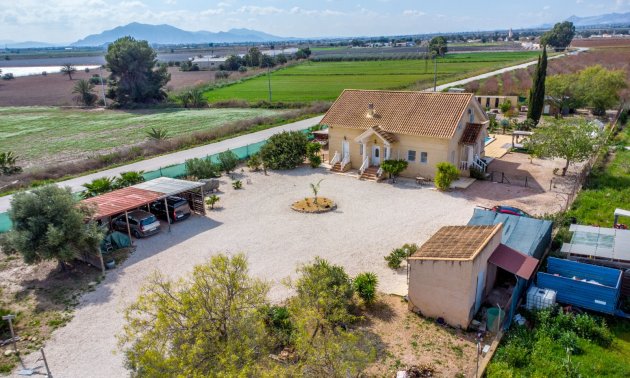 Rynek wtórny - Dom  -
Albatera - Albatera - Country