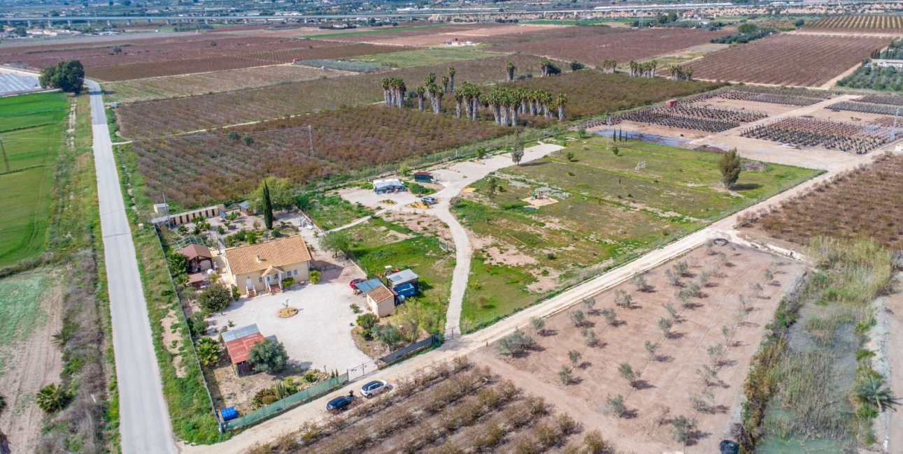 Rynek wtórny - Dom  -
Albatera - Albatera - Country