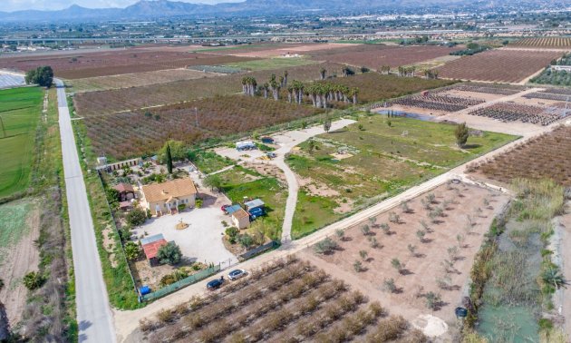 Rynek wtórny - Dom  -
Albatera - Albatera - Country