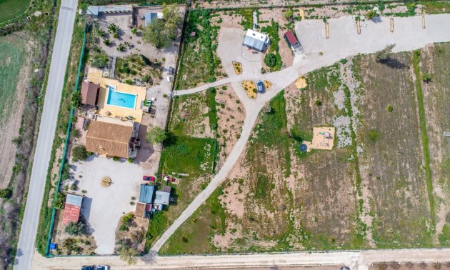 Rynek wtórny - Dom  -
Albatera - Albatera - Country