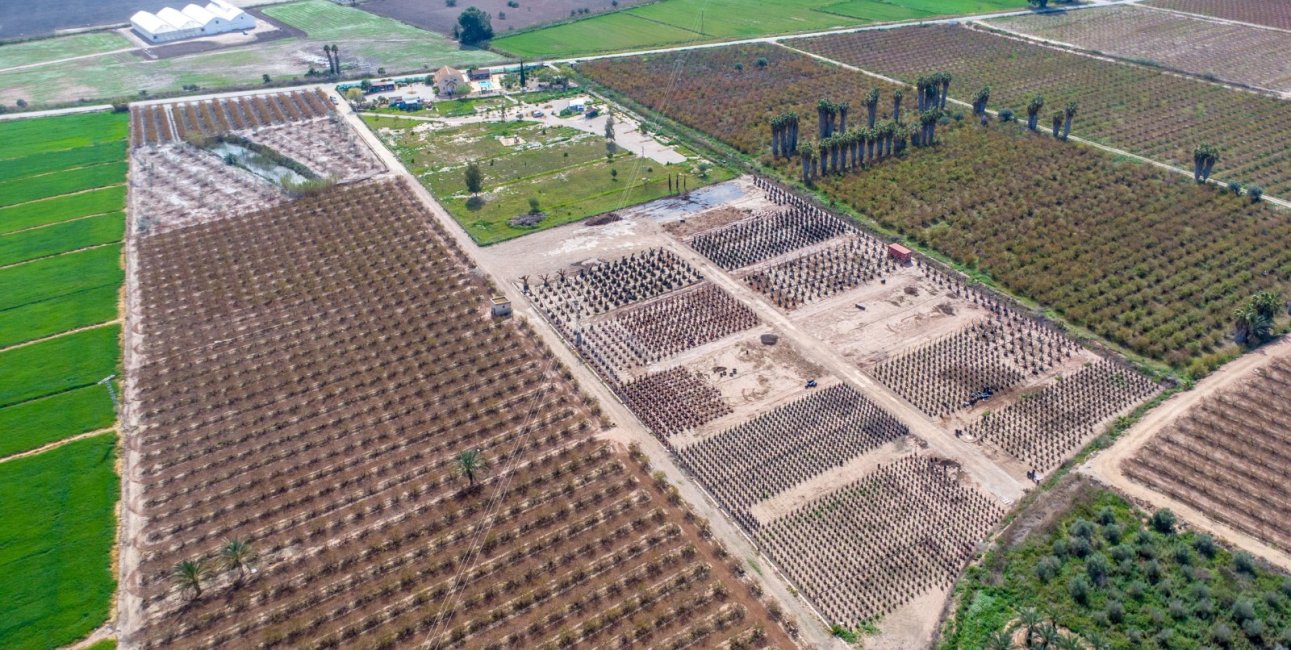 Rynek wtórny - Dom  -
Albatera - Albatera - Country