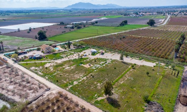 Rynek wtórny - Dom  -
Albatera - Albatera - Country