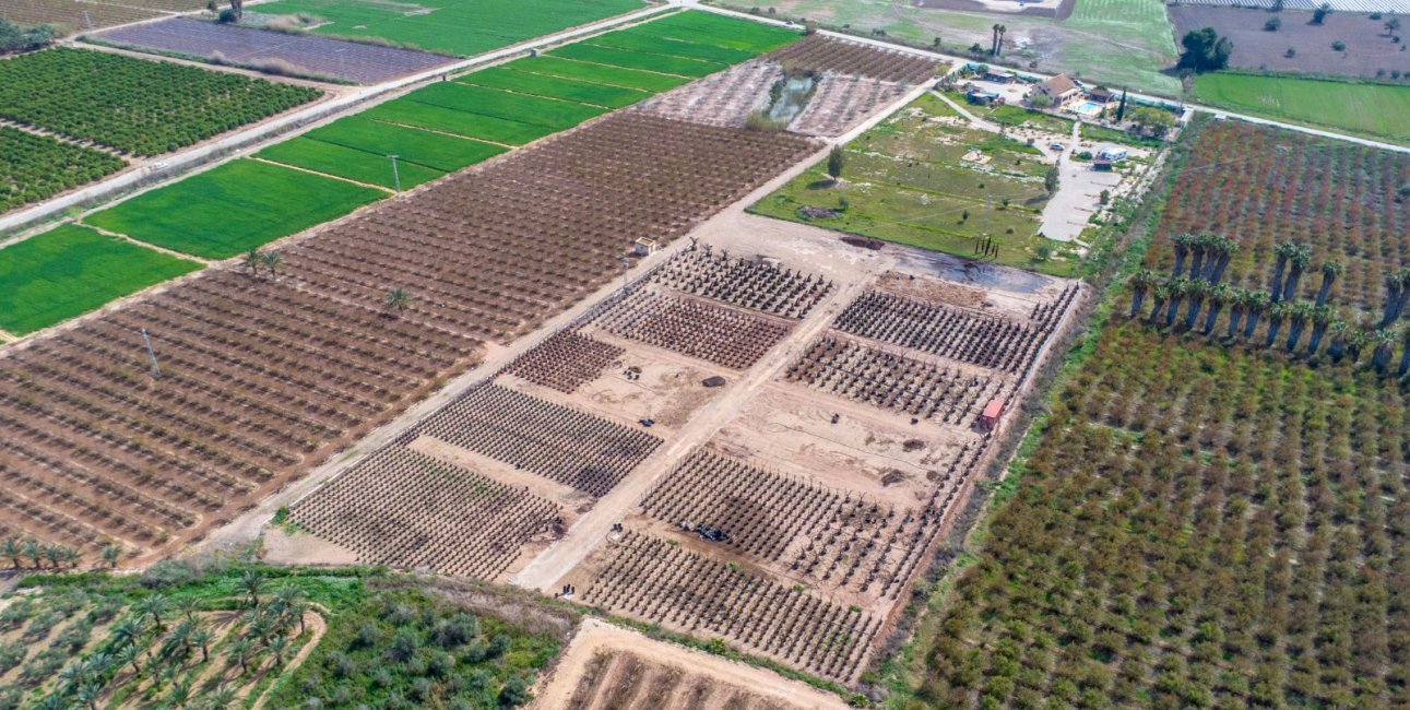 Rynek wtórny - Dom  -
Albatera - Albatera - Country