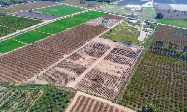 Rynek wtórny - Dom  -
Albatera - Albatera - Country