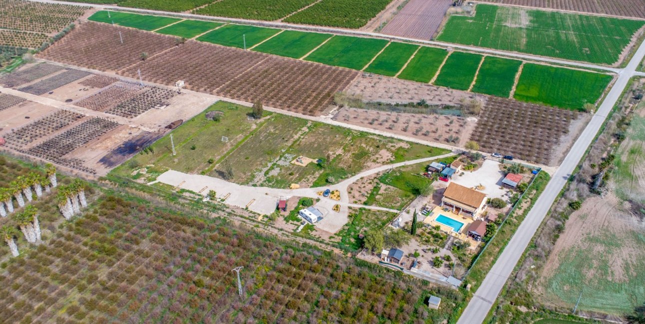 Rynek wtórny - Dom  -
Albatera - Albatera - Country