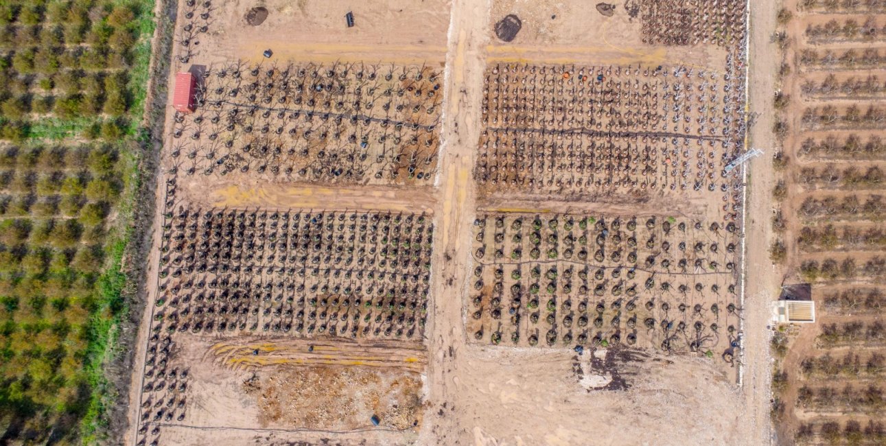 Rynek wtórny - Dom  -
Albatera - Albatera - Country