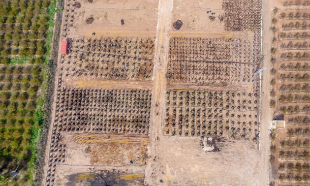 Rynek wtórny - Dom  -
Albatera - Albatera - Country