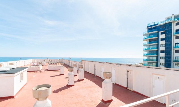 Resale - Apartment / flat -
Torrevieja - Punta prima