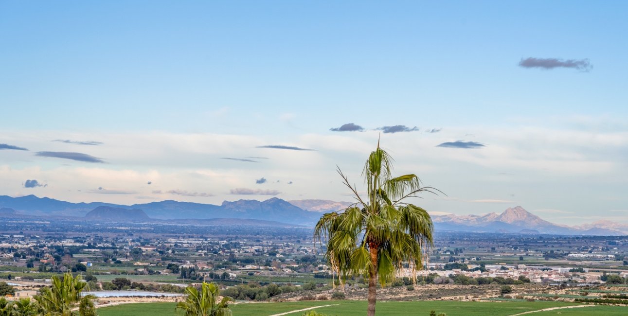 Resale - Villa -
Algorfa - Lomas de La Juliana