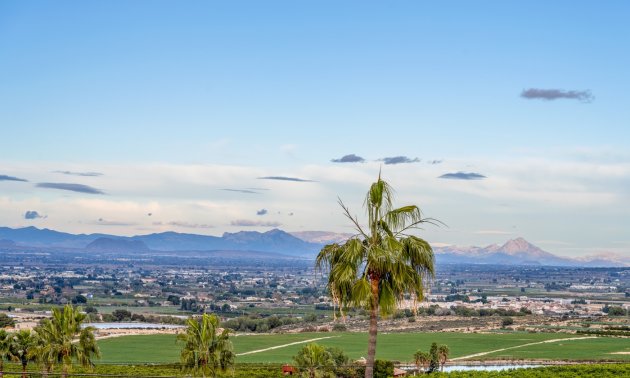 Resale - Villa -
Algorfa - Lomas de La Juliana