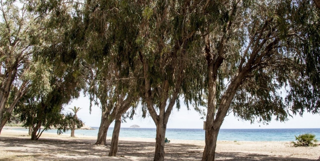 New Build - Apartment / flat -
Villajoyosa - Playa Les Torres