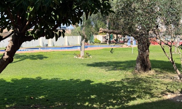 Rynek wtórny - Mieszkanie  -
Torrevieja - Parque de las Naciones