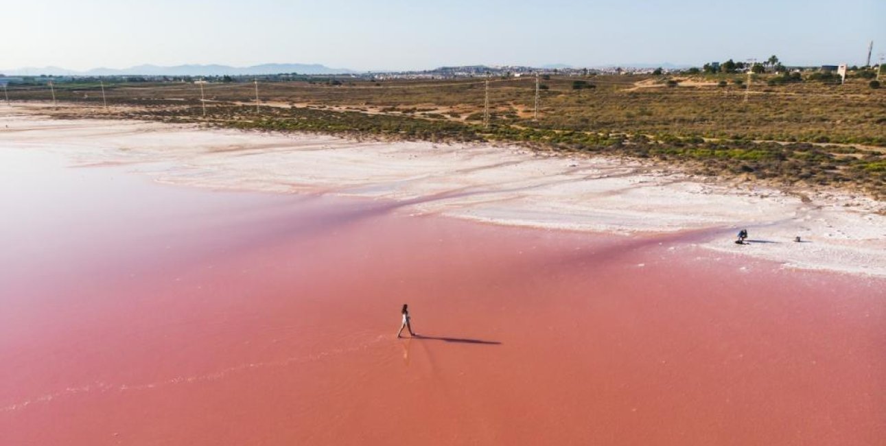 Obra nueva - Ático -
Torrevieja - Playa de los Locos