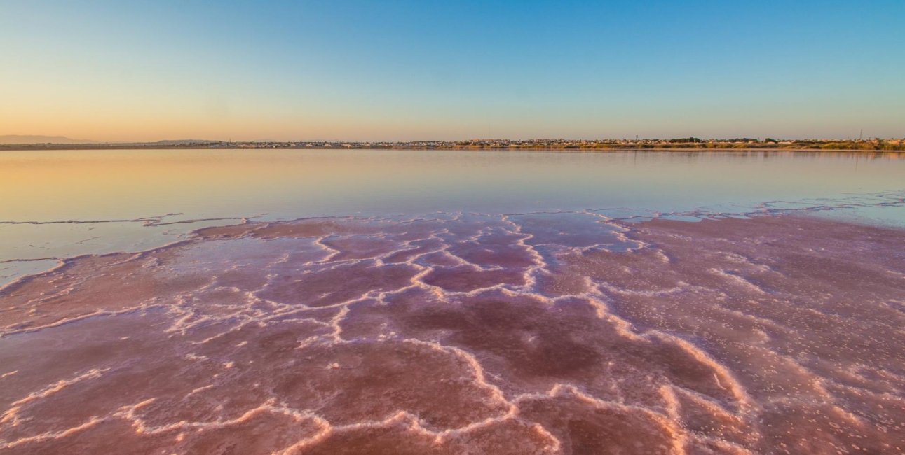 Rynek wtórny - Mieszkanie  -
Torrevieja - La Mata
