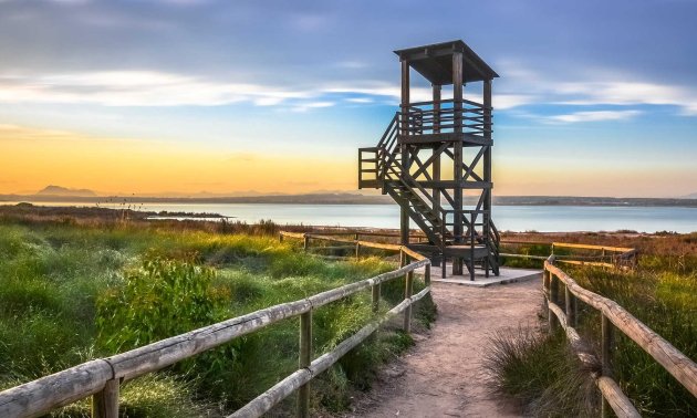 Rynek wtórny - Mieszkanie  -
Torrevieja - La Mata