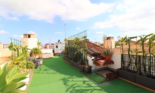 Resale - Townhouse -
Redovan - Redovan - Town