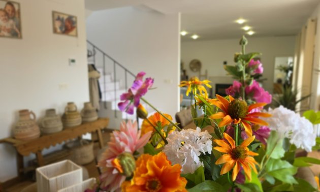 Resale - Country House -
Pinoso - Pinoso - Country