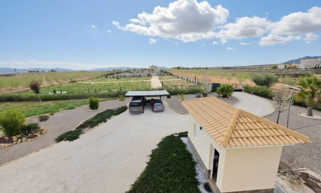 Resale - Country House -
Pinoso - Pinoso - Country