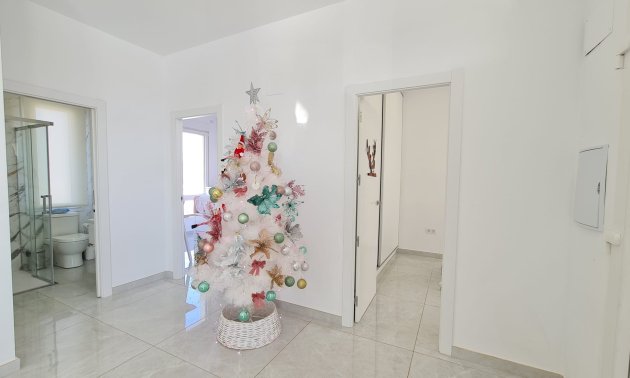 Reventa - Finca -
Pinoso - Pinoso - Country