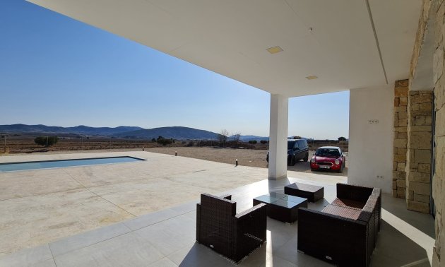 Reventa - Finca -
Pinoso - Pinoso - Country