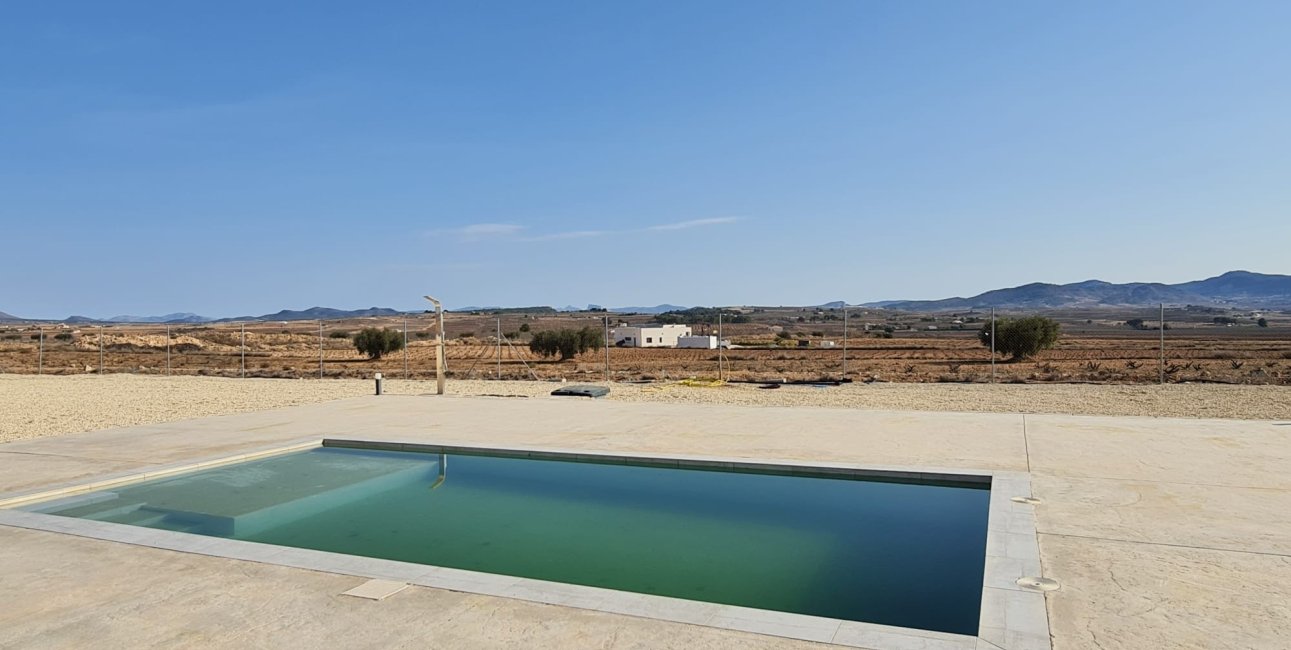 Reventa - Finca -
Pinoso - Pinoso - Country