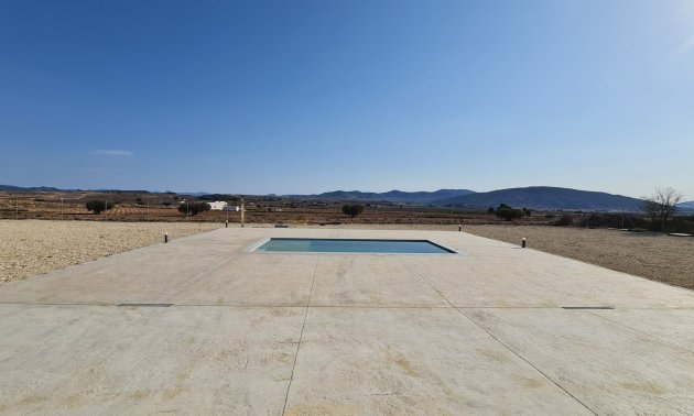 Reventa - Finca -
Pinoso - Pinoso - Country