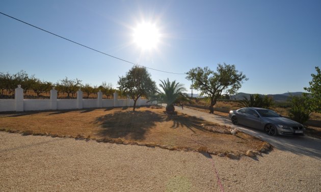 Resale - Country House -
Pinoso - Pinoso - Town