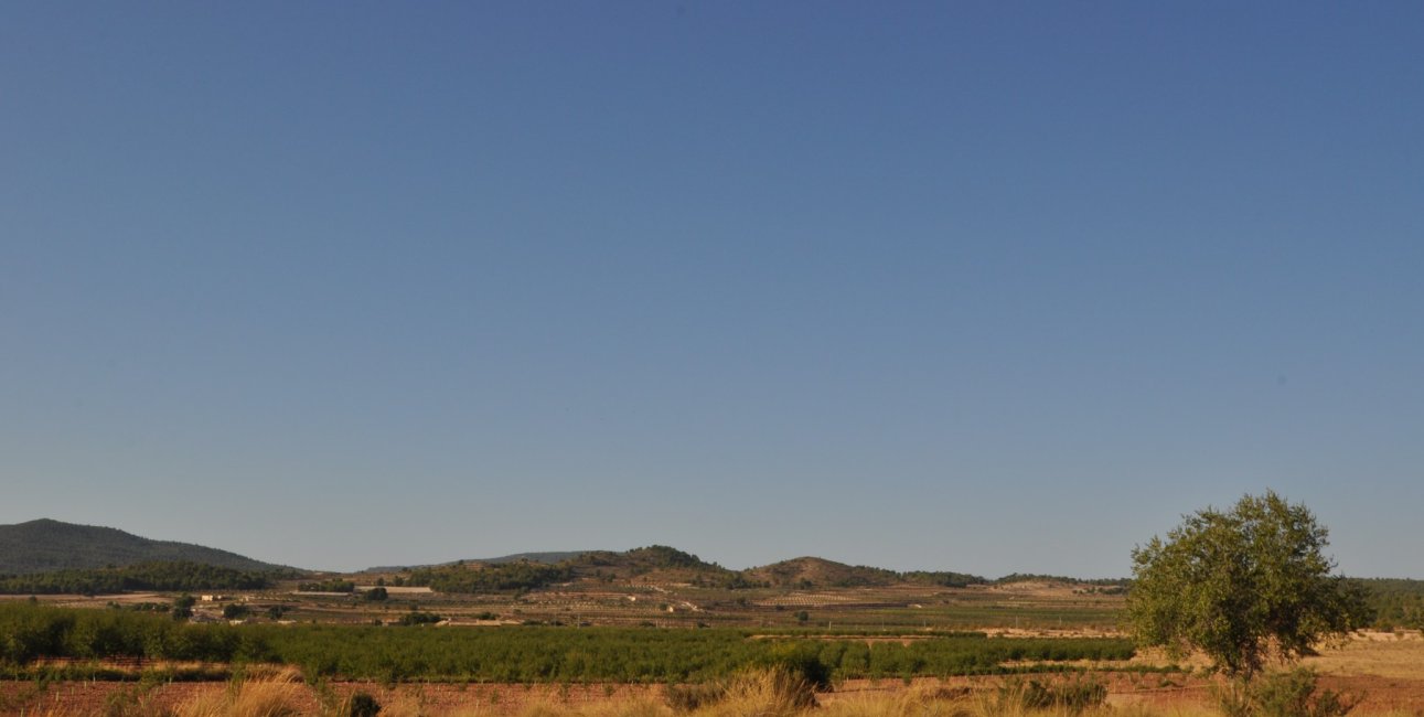 Resale - Country House -
Pinoso - Pinoso - Town