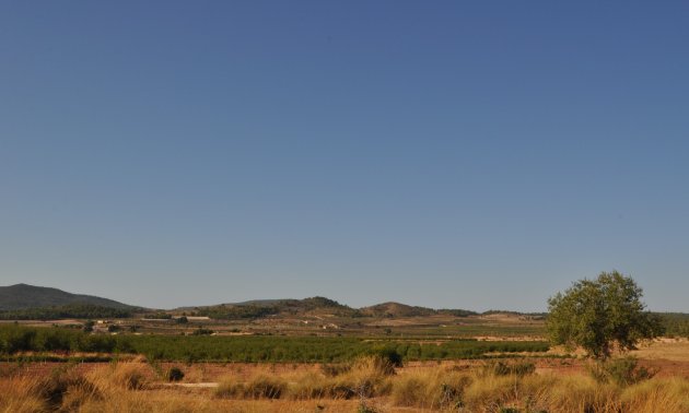 Resale - Country House -
Pinoso - Pinoso - Town